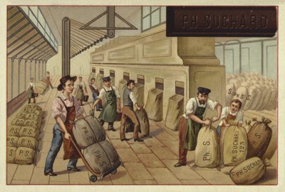 Bir fabrikada kakao çuvalları paketleme by European School